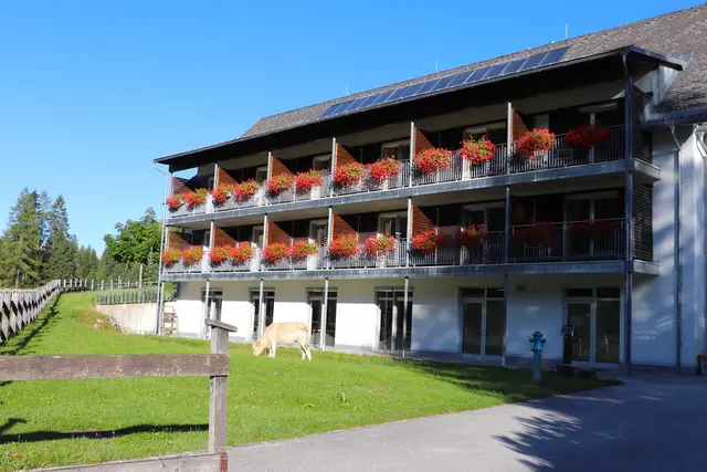 Da hat sich ein kleines Kalb, 
unerlaubterweise den Rasen 
beim Landes-Jugendhaus Edtbauernalm schmecken lassen.