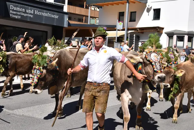Bei echtem Prachtwetter kehrte das Vieh von der Froneben- und der Galtalm am Samstag ins Tal zurück. | Foto: Kainz