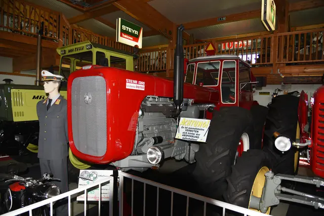 Foto: Gerald Dreisieber