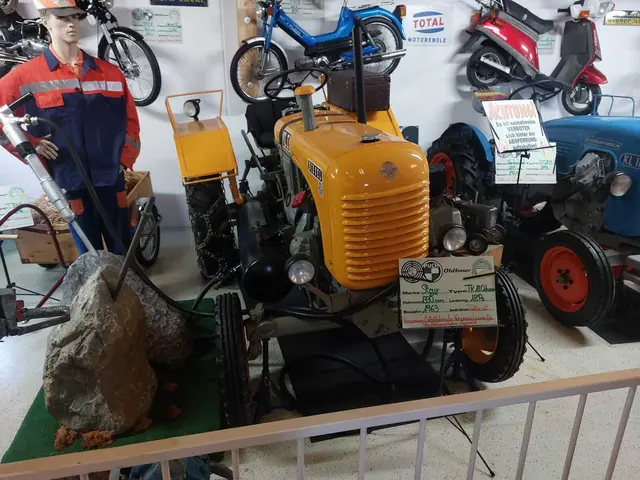 Foto: Gerald Dreisieber