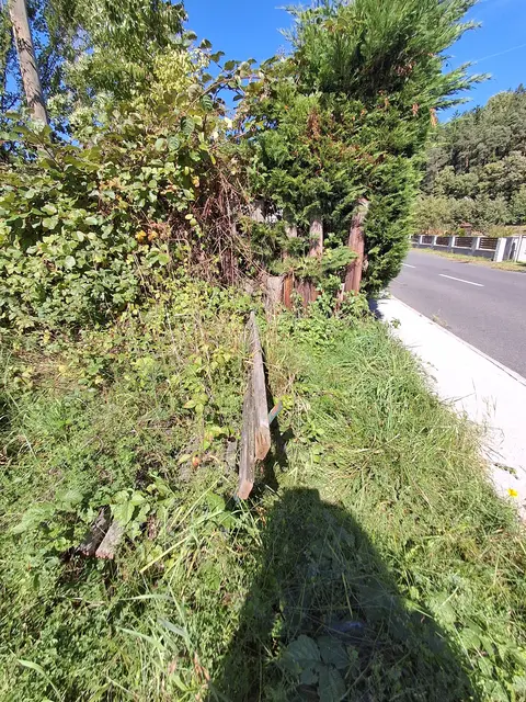 Wieder in Tauchen entdecke ich dieses verwachsene Bankerl - ich mag sowas😅😍 | Foto: Gold Michaela