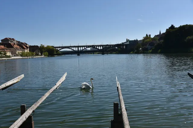 Foto: Gerald Dreisieber