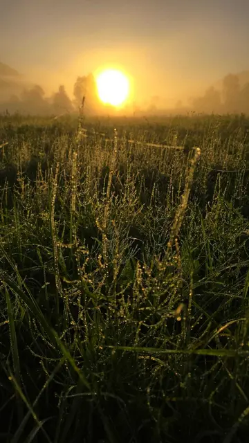 Foto: (c) hlwspittal 2025, mediateam
