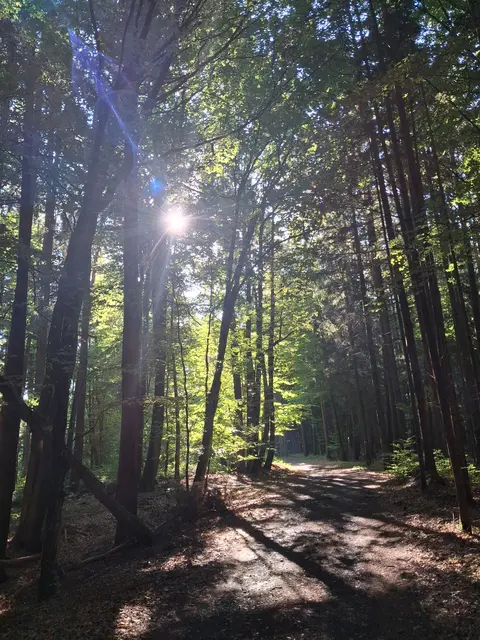 Die Sonne strahlt immer wieder durch und zaubert Schatten und Lichtspiele, die ich so gerne sehe | Foto: Gold Michaela