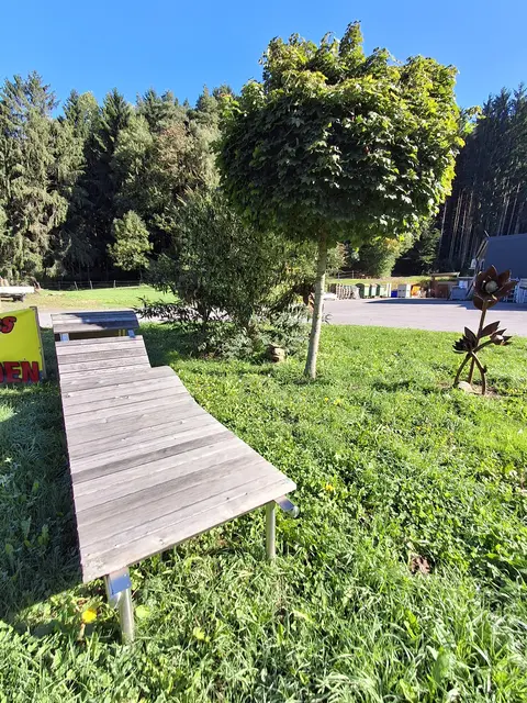 nach der Schlosserei Mühl wieder rechts in den Wald hinein gehe | Foto: Gold Michaela