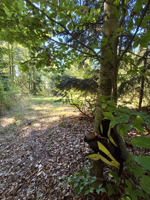 Wer den Rucksack wohl vergessen hat? | Foto: Gold Michaela