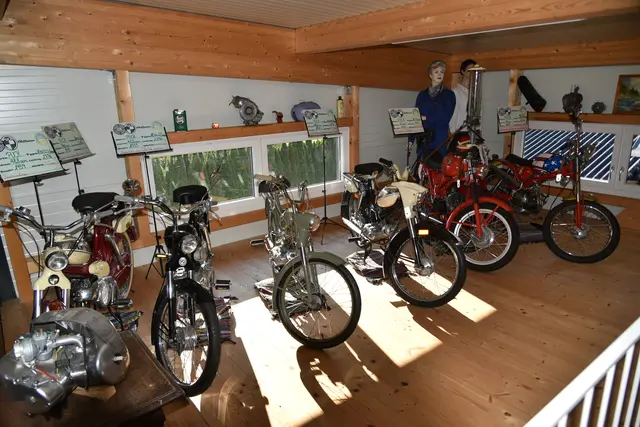 Foto: Gerald Dreisieber