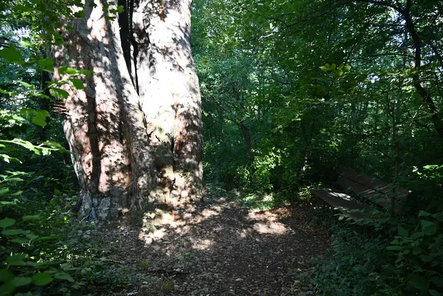 Beeindruckender Umfang