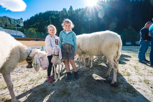 Die Jungzüchterinnen Ella und Theresa in Vorfreude auf's "Ring fahren". | Foto: Pernsteiner