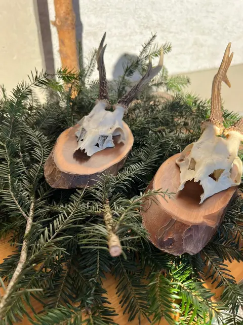 Foto: Wagner, Huber, Feldinger