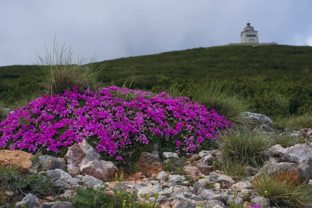 Das schöne Wetter zog zahlreiche Leute auf die Berge. Damit einher gingen auch Rettungseinsätze. | Foto: Santrucek