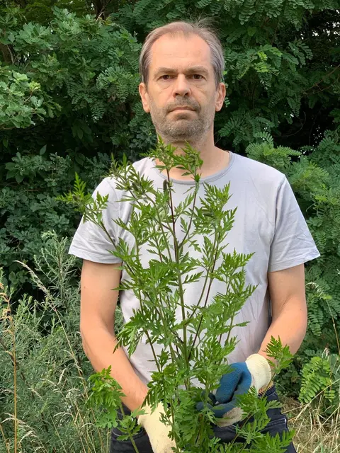 Landtagsabgeordneter und Gemeinderat Wolfgang Spitzmüller wurde als Ragwed-Beauftragter abgewählt. | Foto: Die Grünen