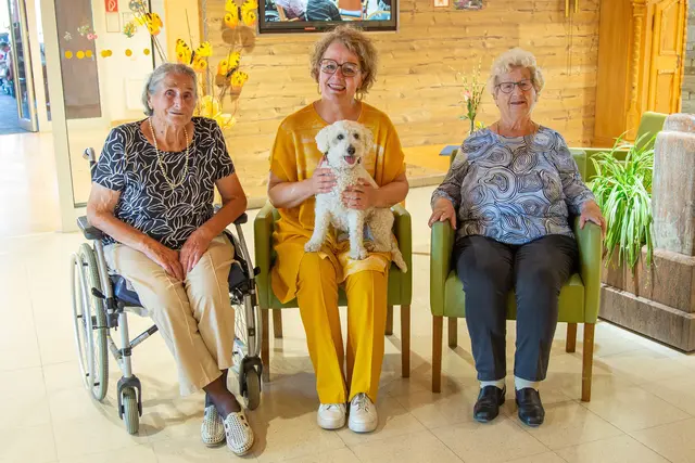 Die Bewohnerinnen Hermine Spiel und Gertrud Rosenkranz mit Landesrätin Christiane Teschl-Hofmeister und Pudel-Dame Alaska. | Foto: PBZ Hollabrunn/Rathfotografie