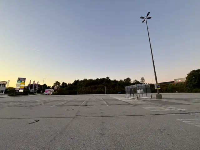 Auf diesem Parkplatz am Neunkirchner Spitz tummelte sich die Tuning-Szene. | Foto: MeinBezirk