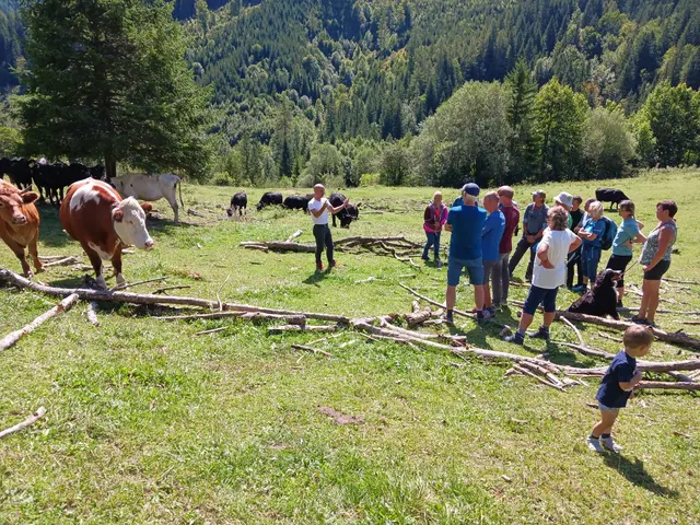 Sicher unterwegs auf Almen: Seminar der Landwirtschaftskammer OÖ auf der Puglalm. | Foto: BBK Kirchdorf Steyr, Reinhold Limberger