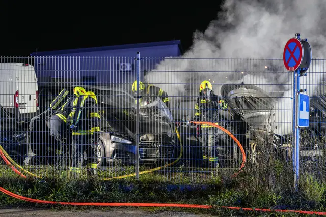 Foto: FOTOKERSCHI / MARKUS HAUSER