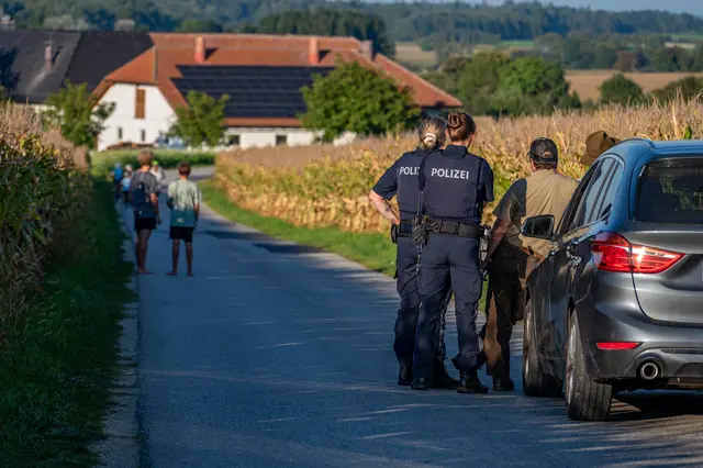 Heute überquerte Elch Emil die Bezirksgrenze zu Wels-Land, wo er mit einem Betäubungsgewehr rund 200 Meter vor der Westautobahn gestoppt wurde. | Foto: Team FotoKerschi/Jonas Großauer