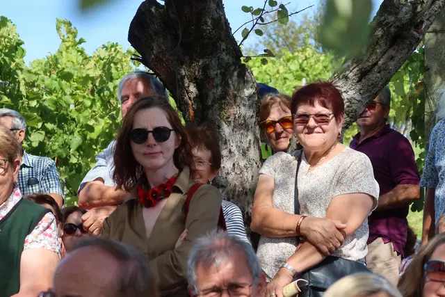 Foto: MeinBezirk/Johann Schleich