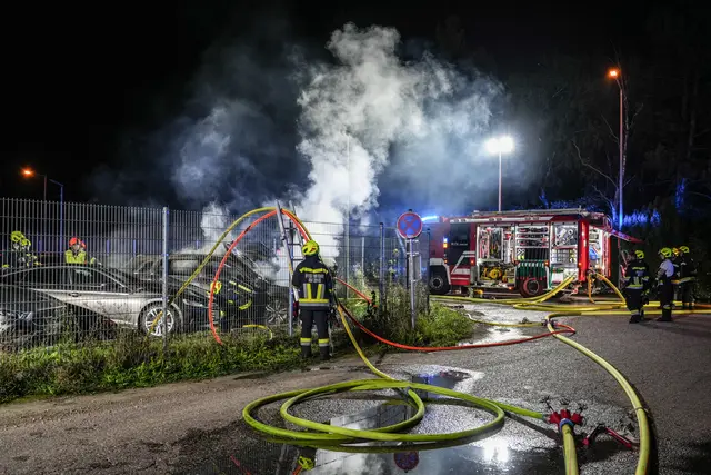 Foto: FOTOKERSCHI / MARKUS HAUSER