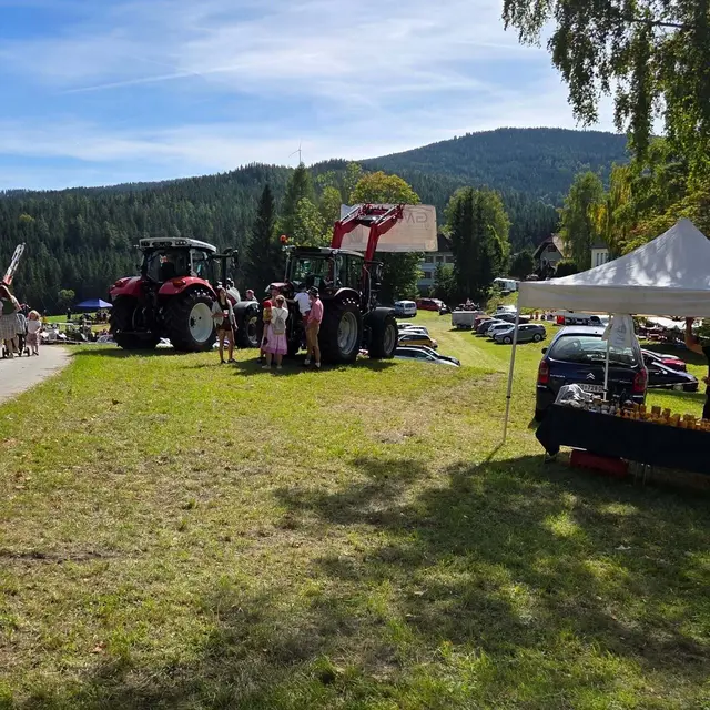 Die Landmaschinenausstellung durfte auch nicht fehlen. | Foto: Gemeinde Edelschrott