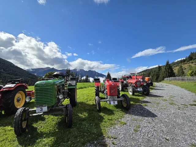 Circa 30 Oldtimer-Traktoren nahmen an der Ausfahrt teil. | Foto: Hettegger