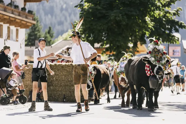 Die festlich geschmückten Kühe begeisterten die vielzähligen Besucher. | Foto: TVB Krimml