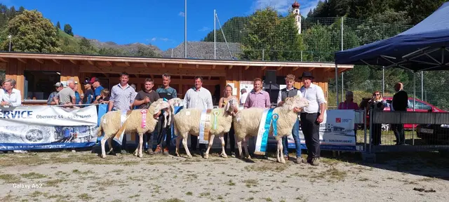 Die Gesamtsiegertiere kamen aus den Ställen von Familie Penz, sowie der Züchtergemeinschaft Peer. | Foto: Pernsteiner
