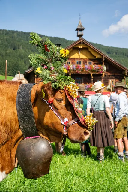 Foto: Angelika Pfuner