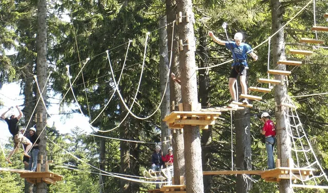 Der Hochseilpark Böhmerwald befindet sich in Schöneben.  | Foto: Foto: Hochseilpark Böhmerwald