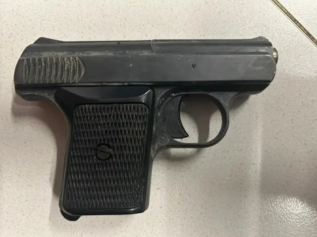 Die Polizei wurde alarmiert, die Beamten nahmen den 43-Jährigen fest und stellten die Waffe sicher. Ein Alkovortest ergab 1,96 Promille. | Foto: LPD Wien
