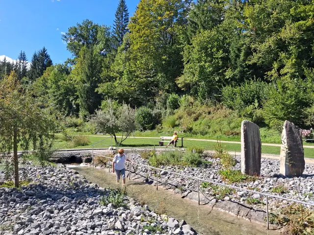 Im Storchenschritt durch das kalte Wasser ist eine bewährte Methode nach Pfarrer Kneipp, hier üben die Bad Haller Kneipper dieses Gesundheitstraining.