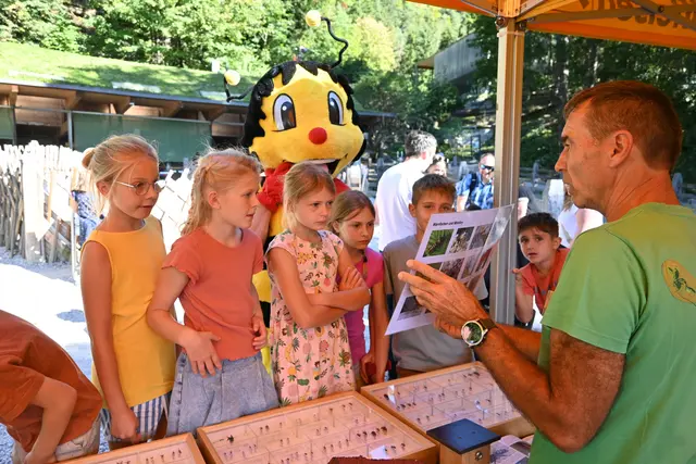 Kinder konnten am Sumsitag im Alpenzoo vor allem einiges über die Bienen und ihre Artgenossen lernen.  | Foto: Königer