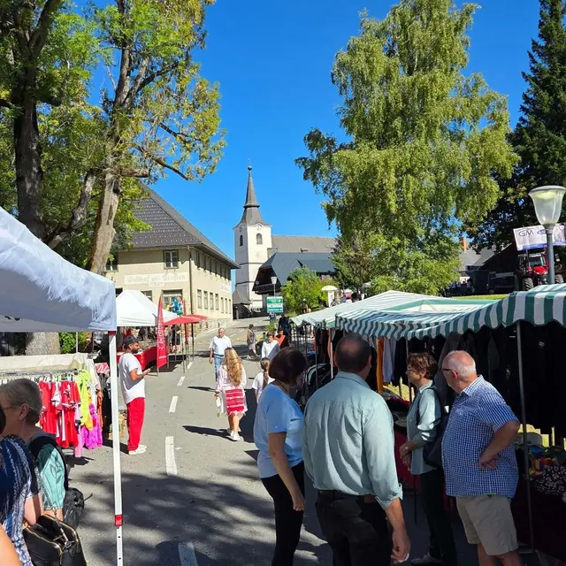 Prachtwetter beim 191. Ruperti-Kirta in Modriach am Sonntag | Foto: Gemeinde Edelschrott