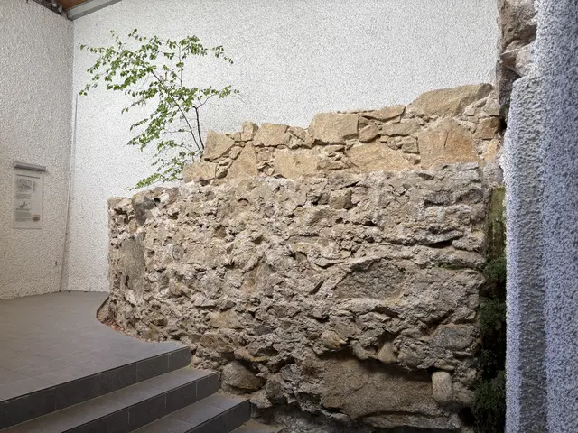 Foto: MeinBezirk/Michelle Bichler