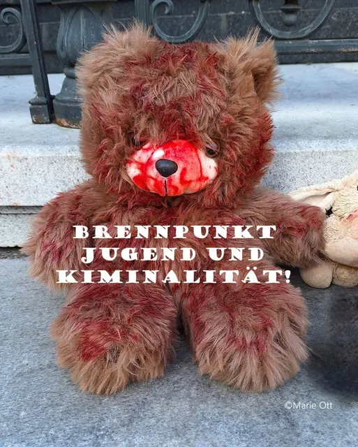 Brennpunkt Jugend und Kriminalität, Graz