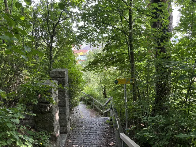 Die Natur-Erlebensräume in der Bezirkshauptstadt Perg. | Foto: MeinBezirk Perg/Köck