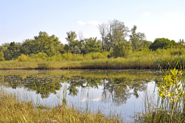 Foto: APA-Grafik/picturedesk.com