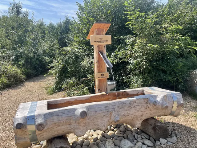 Mini-Pilgerweg: Der "Johannesweg zu Maria Laab" in Naarn. | Foto: MeinBezirk Perg/Köck