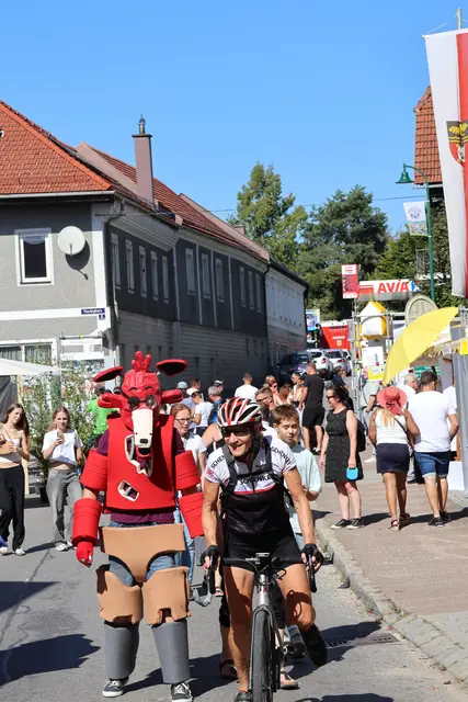 Foto: Hausruckwald Tourismus/Preuner-Zopf