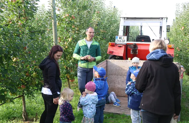 Mit dem Traktor ging es mit Klaus Lindinger sicher durch den Obstgarten in Fischlham, wo die roten Äpfel zum Pflücken einladen und später zu Saft verarbeitet wurden. | Foto: Lindinger