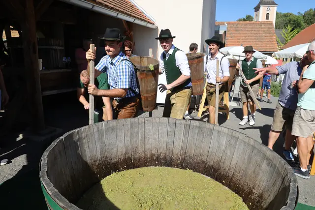 Winzer trugen die Trauben in Puten zur Presse. | Foto: Johann Schleich
