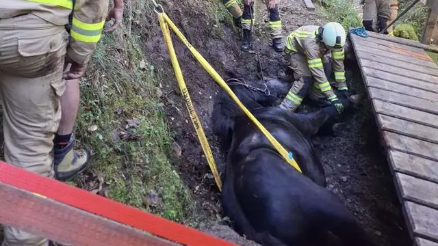 Besonderer Einsatz für die Freiweillige Feuerwehr Kössen, das Pferd konnte gerettet werden. | Foto: Feuerwehr Kössen