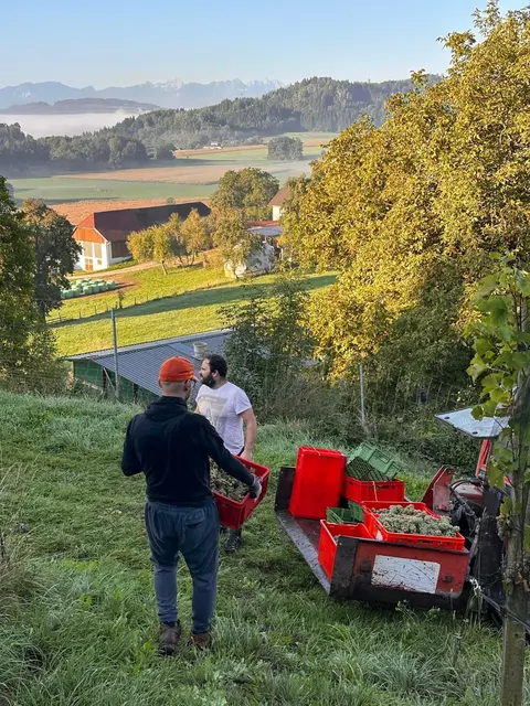 Foto: Weinbauverein Feldkirchen-Ossiacher See