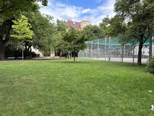 Der Bärlipark wird gerne von Kindern und Jugendlichen aufgesucht, aber auch öfters von Feierlustigen und Drogenkonsumenten. Da die Polizei die Situation nicht in den Griff bekommt, startet die Bezirksvorsteherin Lea Halbwidl (SPÖ) nun eine eigene Initiative. | Foto: Nathanael Peterlini/MeinBezirk