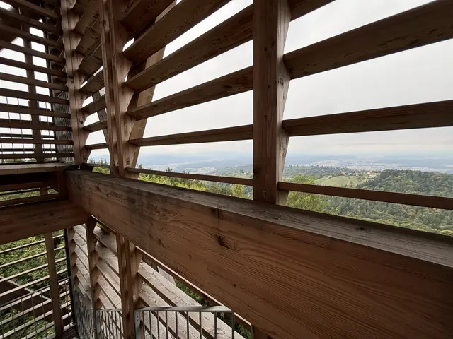 Foto: Waltraud Fischer