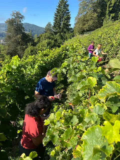 Foto: Weinbauverein Feldkirchen-Ossiacher See
