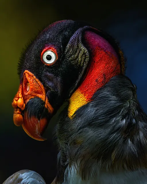 Foto: Falkmar Ameringer