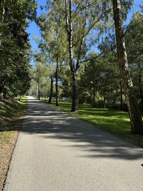An der schönen Birken-Allee zum Friedhof von Wolfsgraben liegt die neue Hundezone | Foto: Lauren Fahrenberger / MeinBezirk