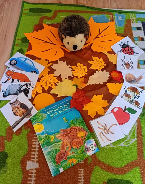 Passend zum Herbst ist aktuell der Igel das Thema im Morgenkreis. | Foto: Manuela Trabitsch