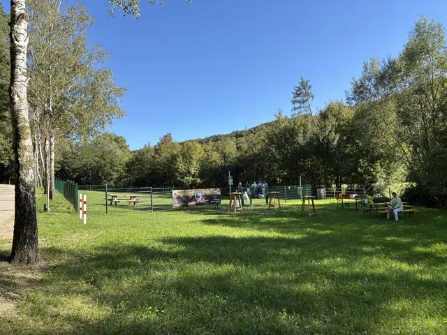 Die neue Spielwiese wurde jetzt offiziell eröffnet  | Foto: Lauren Fahrenberger / MeinBezirk